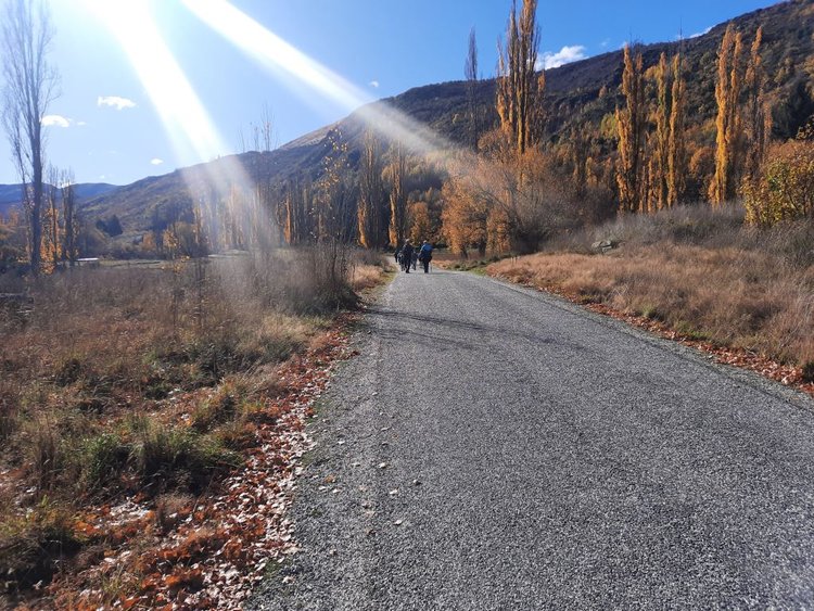 Awesome Autumnal Arrowtown