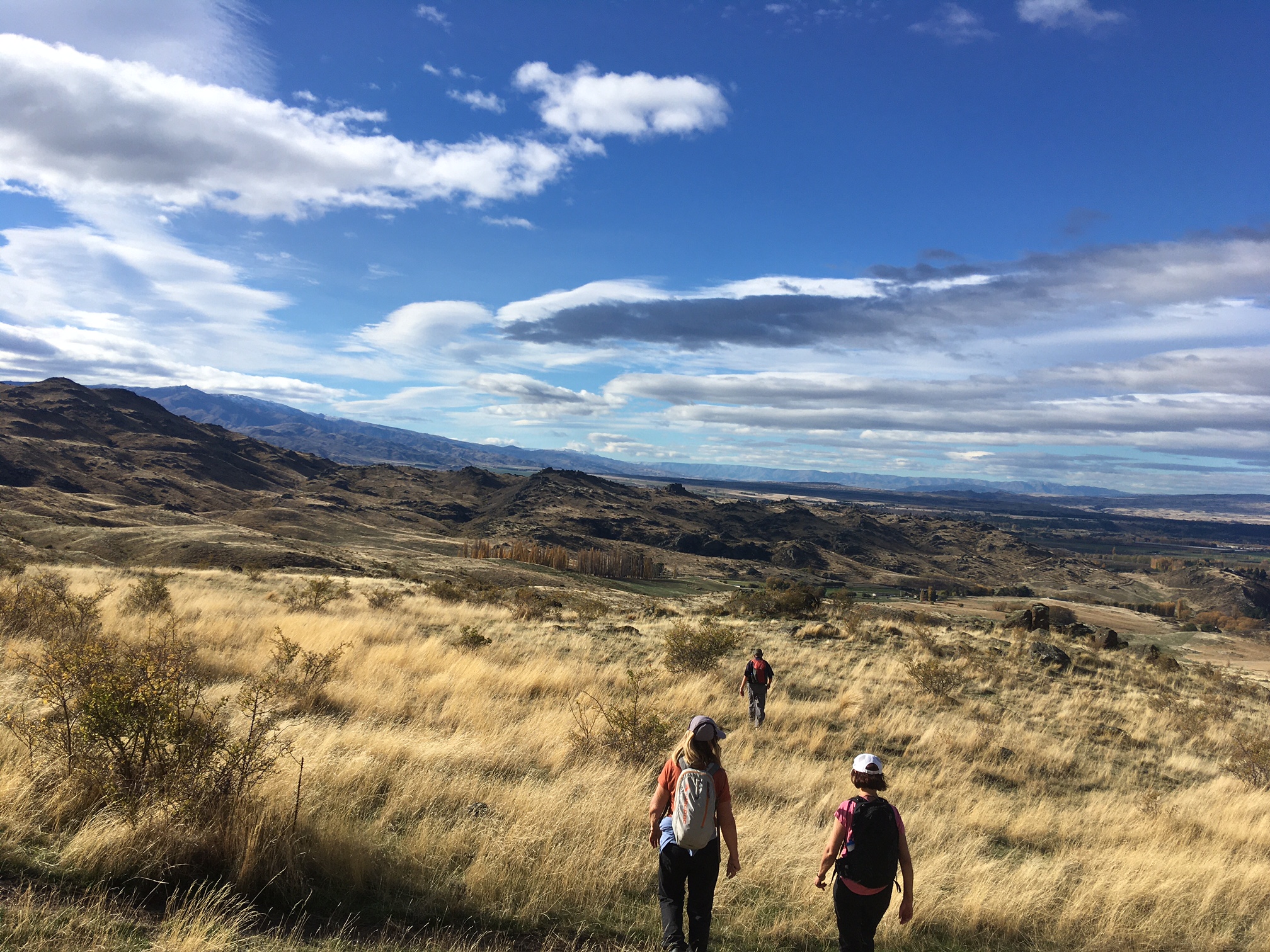 Omeo Gully this week